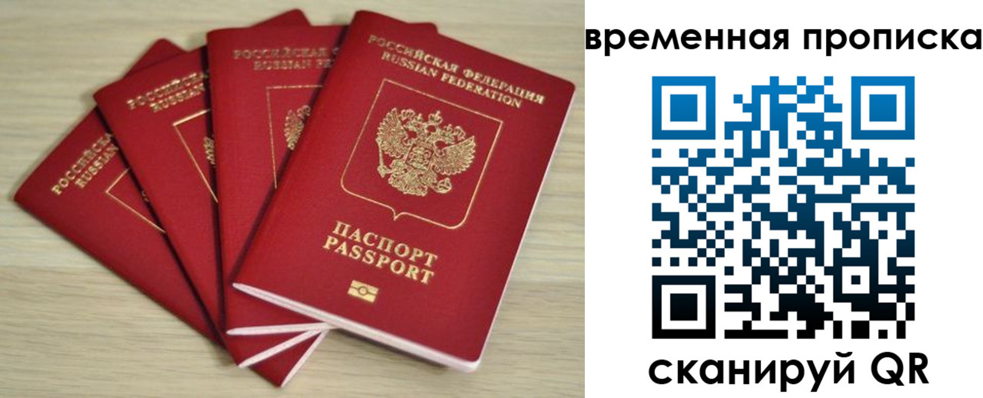 прописка для школы в Павловске