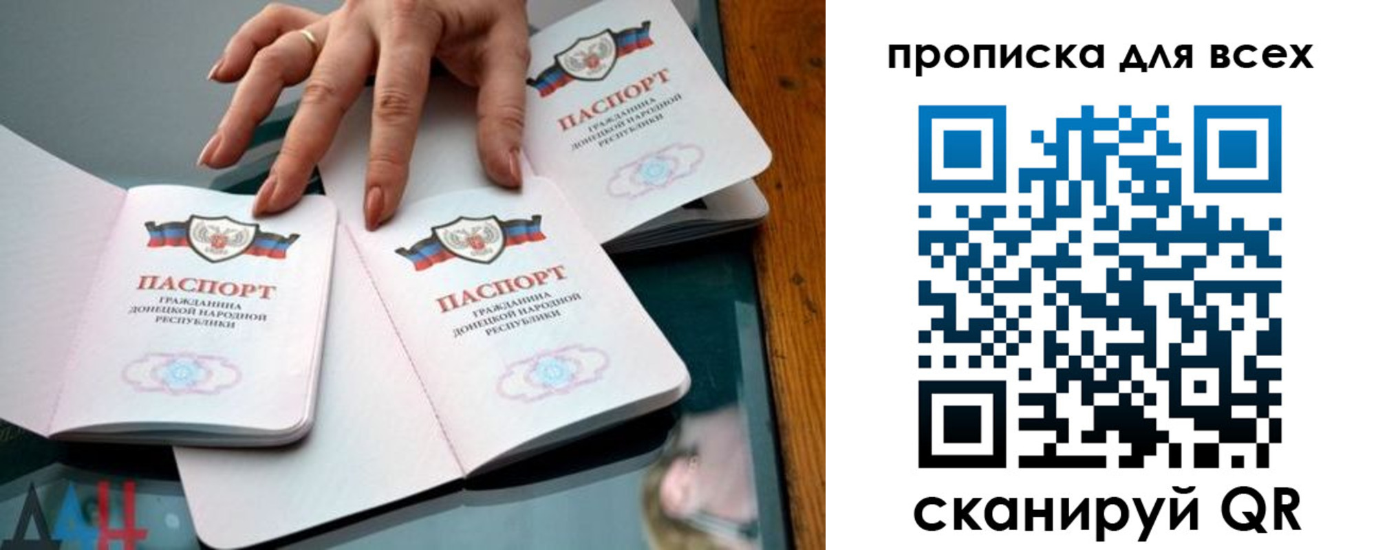 прописка гарантия в Павловске